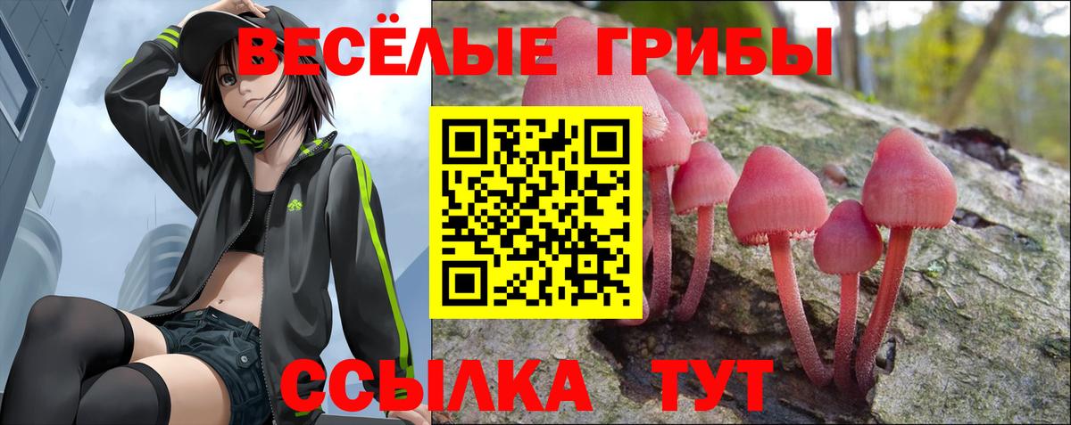 Галлюциногенные грибы GOLDEN TEACHER  Галлюциногенные грибы GOLDEN TEACHER  Сергиев Посад  Вход с VPN 